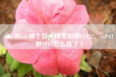 exfat和ntfs哪个好（终于知道FAT32、exFAT和NTFS怎么选了）