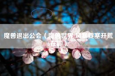 魔兽退出公会（魔兽世界:风暴要塞开荒在即）
