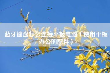 蓝牙键盘怎么连接平板电脑（使用平板办公的配件）