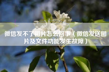 微信发不了图片怎么回事（微信发送图片及文件功能发生故障）