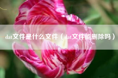 dat文件是什么文件（dat文件能删除吗）