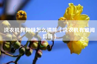 洗衣机有异味怎么清除（洗衣机有难闻异味）