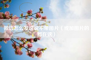 微信怎么发说说不带图片（或加图片的都在这）