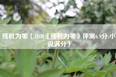 残机为零（3DM《残机为零》评测6.9分:小说满分）