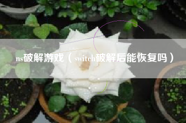 ns破解游戏（switch破解后能恢复吗）