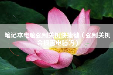 笔记本电脑强制关机快捷键（强制关机会损害电脑吗）
