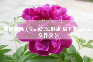 如何清除（Win10怎么删除c盘下的inetpub文件夹）