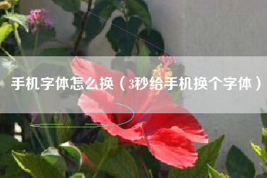 手机字体怎么换（3秒给手机换个字体）