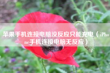 苹果手机连接电脑没反应只能充电（iPhone手机连接电脑无反应）