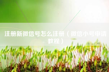 注册新微信号怎么注册（微信小号申请教程）