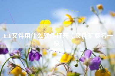bak文件用什么软件打开（文件扩展名一览）