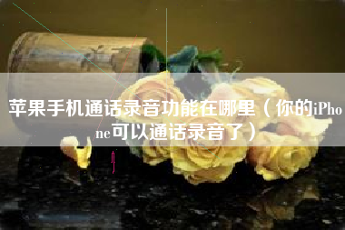 苹果手机通话录音功能在哪里（你的iPhone可以通话录音了）