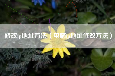 修改ip地址方法（电脑ip地址修改方法）
