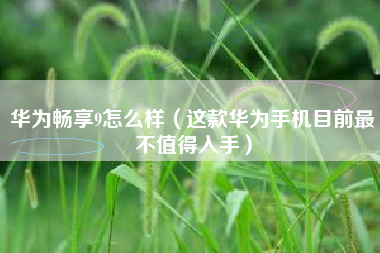华为畅享9怎么样（这款华为手机目前最不值得入手）