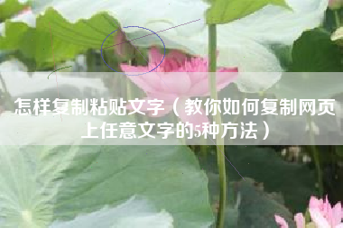 怎样复制粘贴文字（教你如何复制网页上任意文字的5种方法）