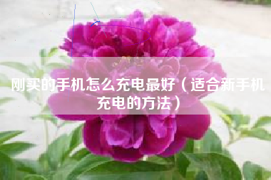 刚买的手机怎么充电最好（适合新手机充电的方法）