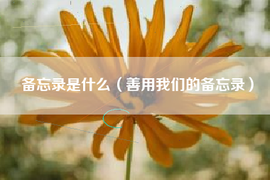 备忘录是什么（善用我们的备忘录）