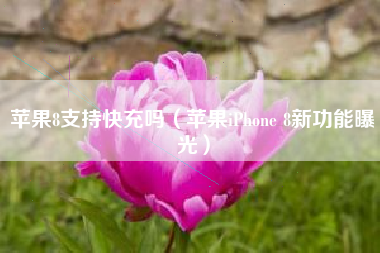 苹果8支持快充吗（苹果iPhone 8新功能曝光）