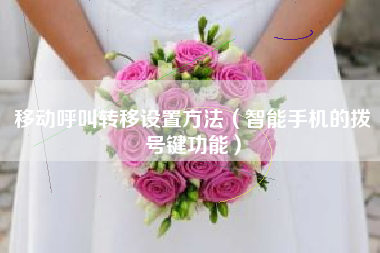 移动呼叫转移设置方法（智能手机的拨号键功能）