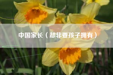 中国家长（却非要孩子拥有）