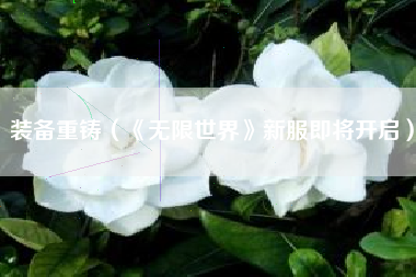 装备重铸（《无限世界》新服即将开启）