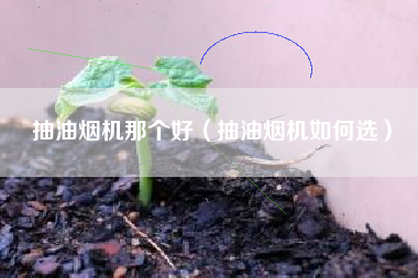 抽油烟机那个好（抽油烟机如何选）