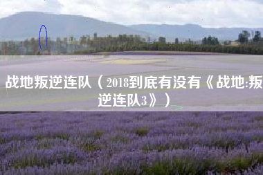 战地叛逆连队（2018到底有没有《战地:叛逆连队3》）