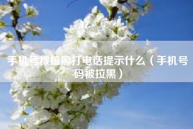 手机号被拉黑打电话提示什么（手机号码被拉黑）