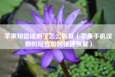 苹果短信误删了怎么恢复（苹果手机误删的短信如何快速恢复）