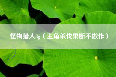 怪物猎人3g（主角杀伐果断不做作）