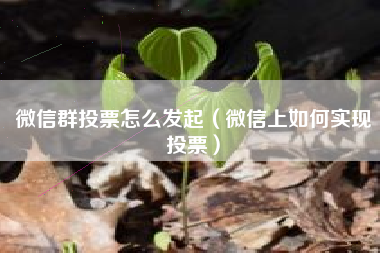 微信群投票怎么发起（微信上如何实现投票）