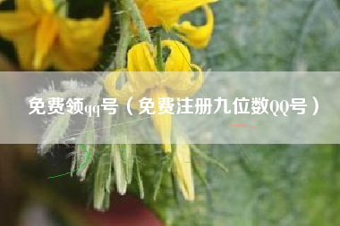 免费领qq号（免费注册九位数QQ号）