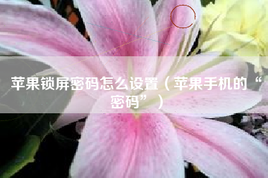 苹果锁屏密码怎么设置（苹果手机的“密码”）