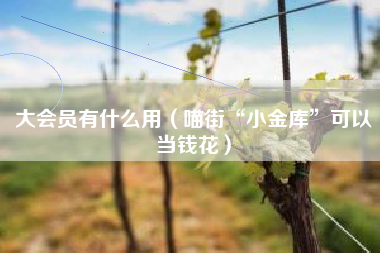 大会员有什么用（喵街“小金库”可以当钱花）