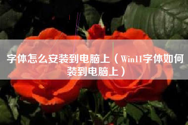 字体怎么安装到电脑上（Win11字体如何装到电脑上）