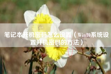 笔记本开机密码怎么设置（Win10系统设置开机密码的方法）