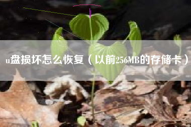 u盘损坏怎么恢复（以前256MB的存储卡）