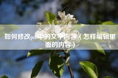 如何修改pdf中的文字内容（怎样编辑里面的内容）