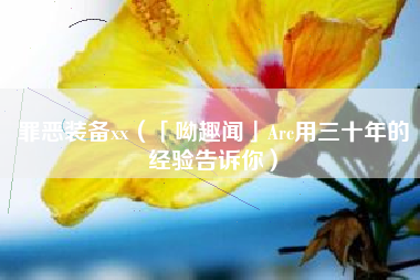 罪恶装备xx（「呦趣闻」Arc用三十年的经验告诉你）