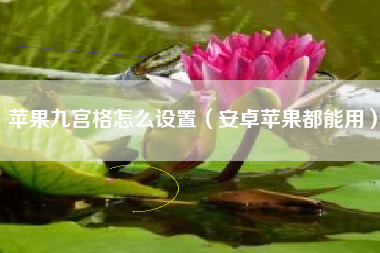 苹果九宫格怎么设置（安卓苹果都能用）