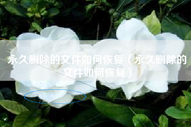 永久删除的文件如何恢复（永久删除的文件如何恢复）