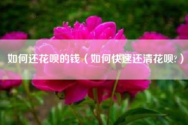如何还花呗的钱（如何快速还清花呗?）