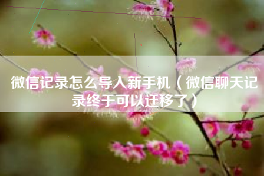 微信记录怎么导入新手机（微信聊天记录终于可以迁移了）