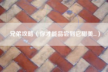 兄弟攻略（你才能品尝到它甜美...）