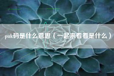 puk码是什么意思（一起来看看是什么）