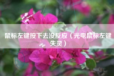 鼠标左键按下去没反应（光电鼠标左键失灵）