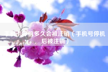 手机卡停机多久会被注销（手机号停机后被注销）