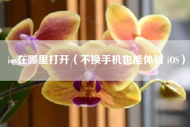 ios在哪里打开（不换手机也能体验 iOS）