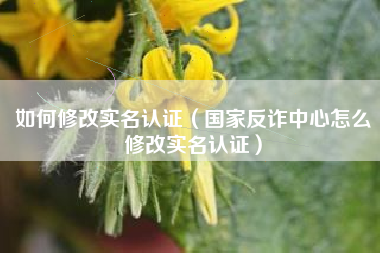 如何修改实名认证（国家反诈中心怎么修改实名认证）