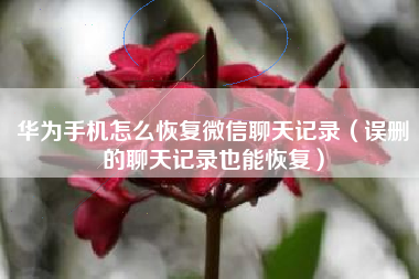 华为手机怎么恢复微信聊天记录（误删的聊天记录也能恢复）